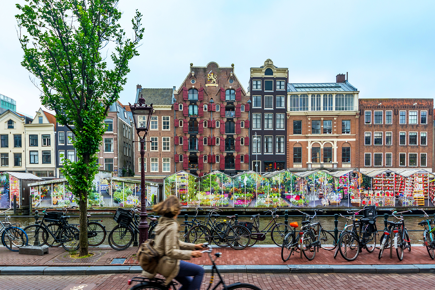   Amsterdam - Netherlands  
