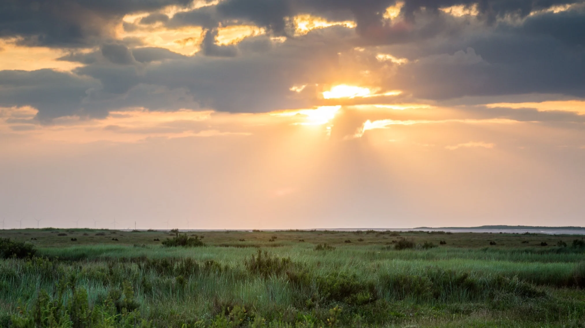 Stiffkey, North Norfolk