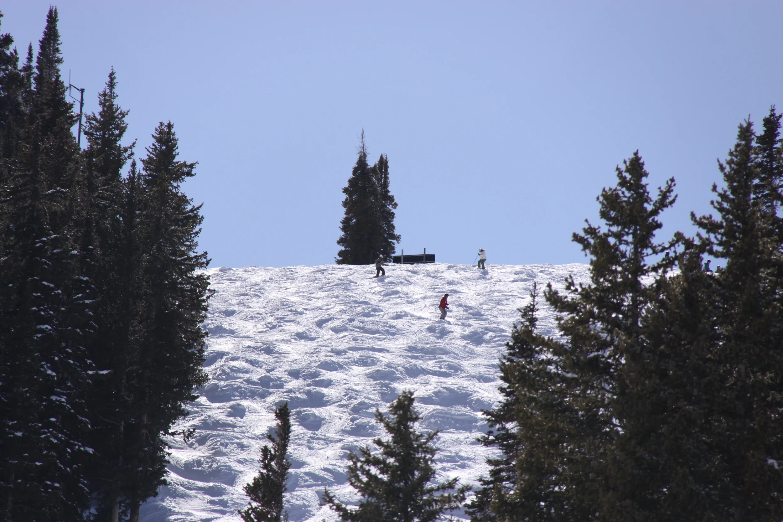IMG_4835.jpg