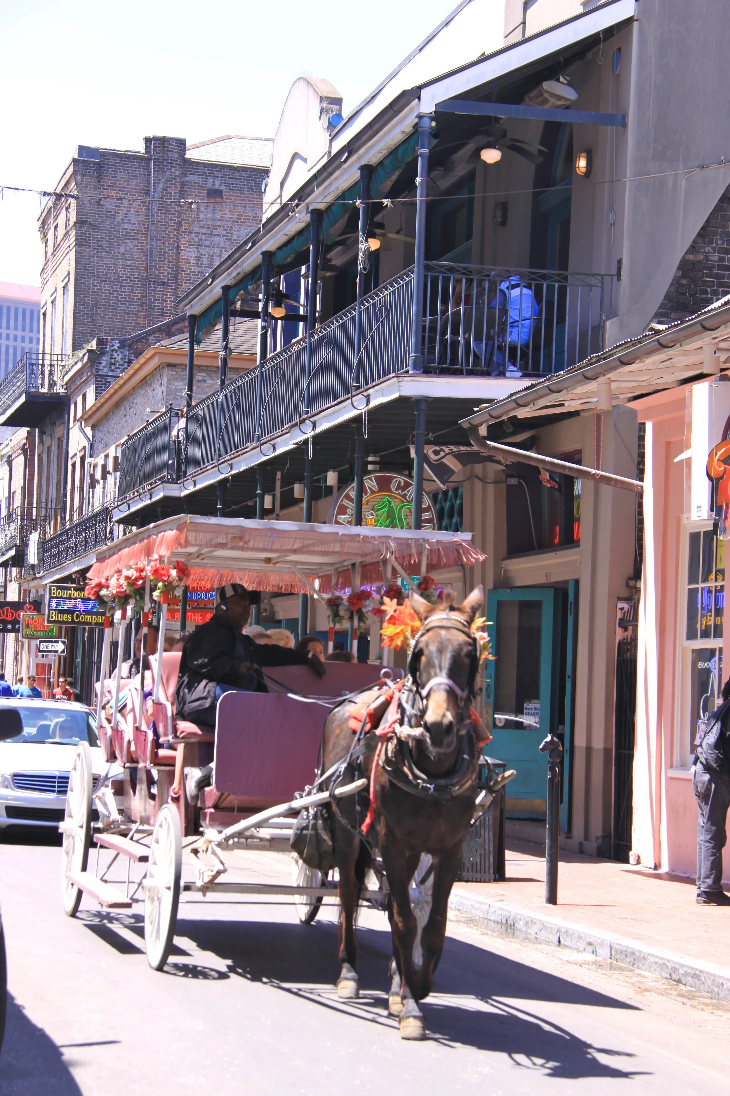 IMG_5094.jpg
