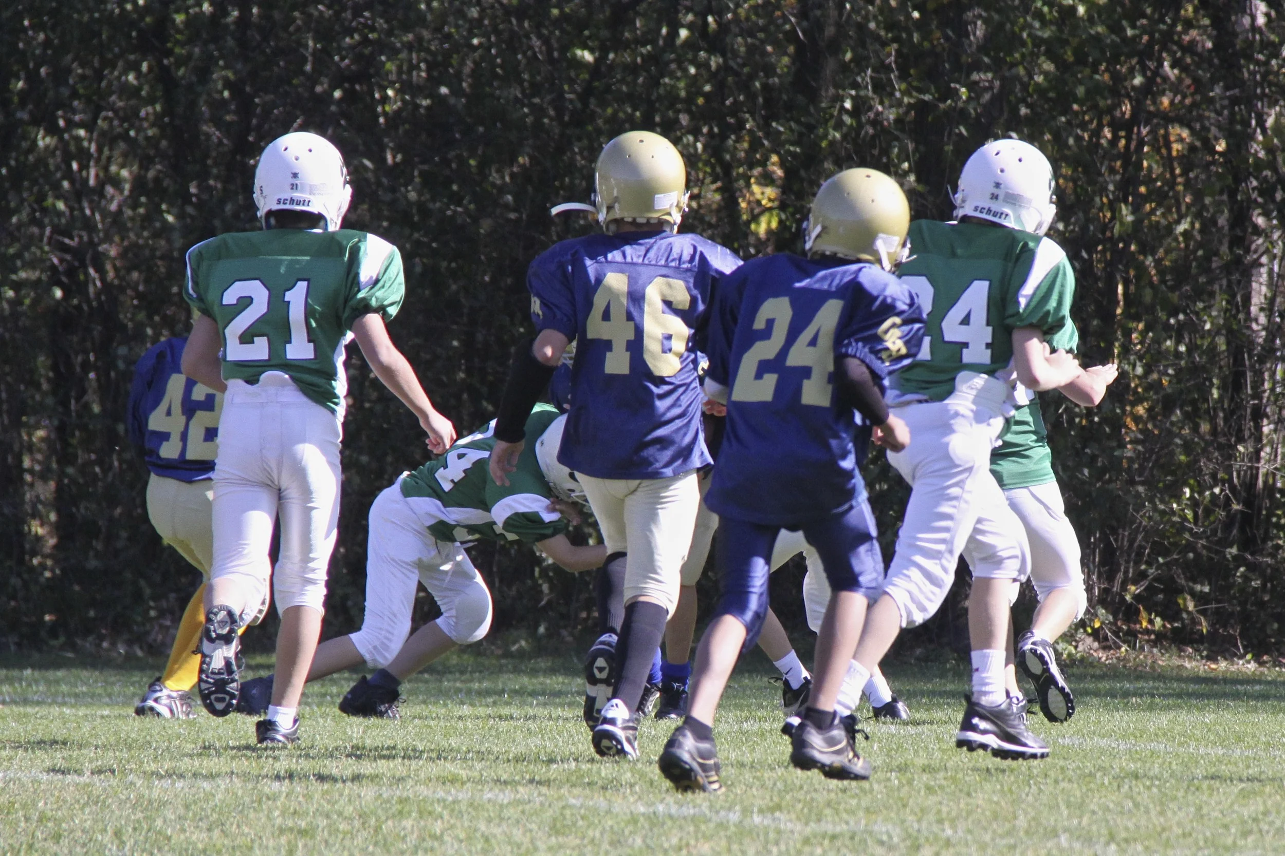 20IMG_8109.jpg