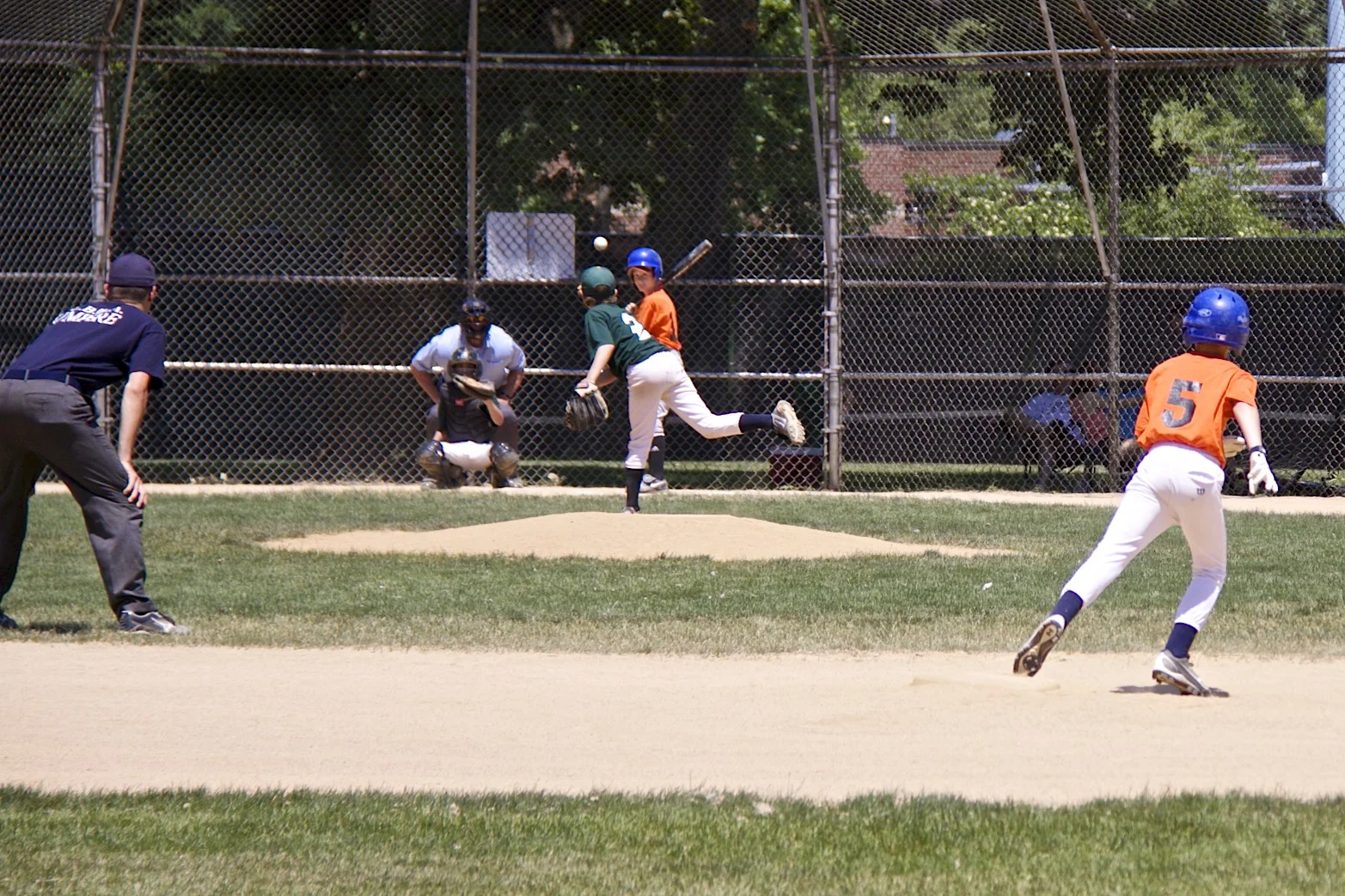 IMG_1092IMG_1211.jpg