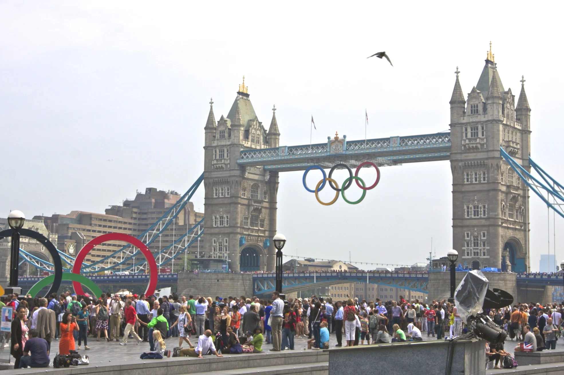 IMG_2231.jpg