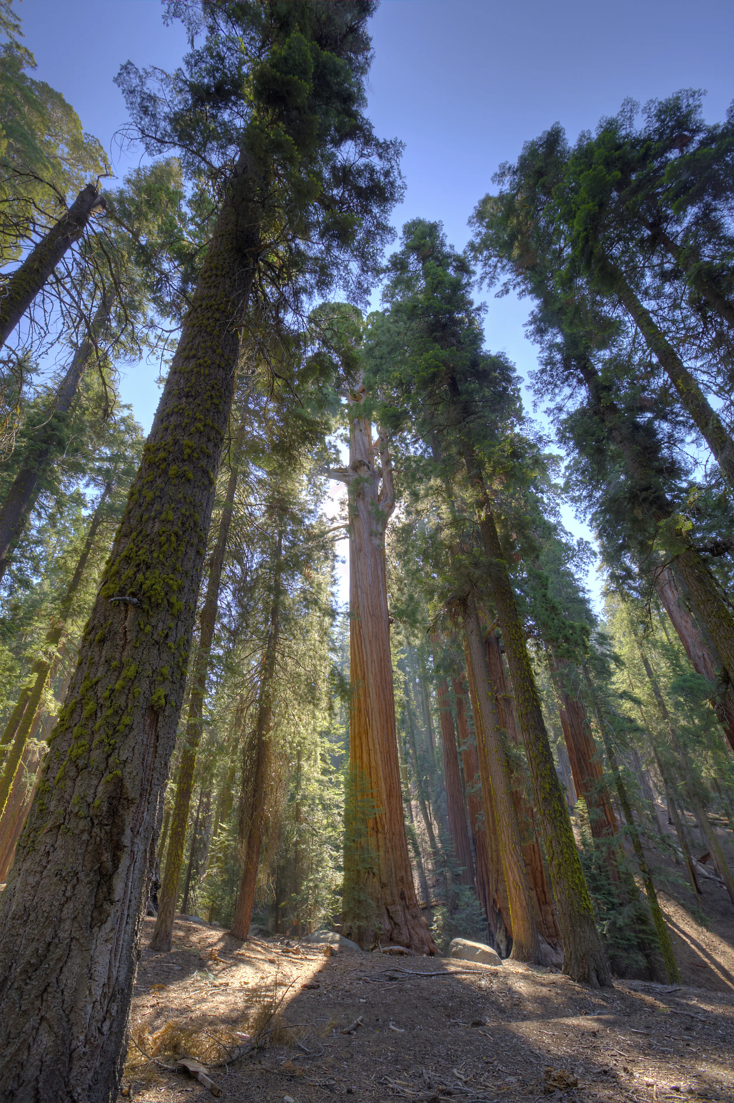 _V2A3790_1_2_3_4_tonemapped.jpg