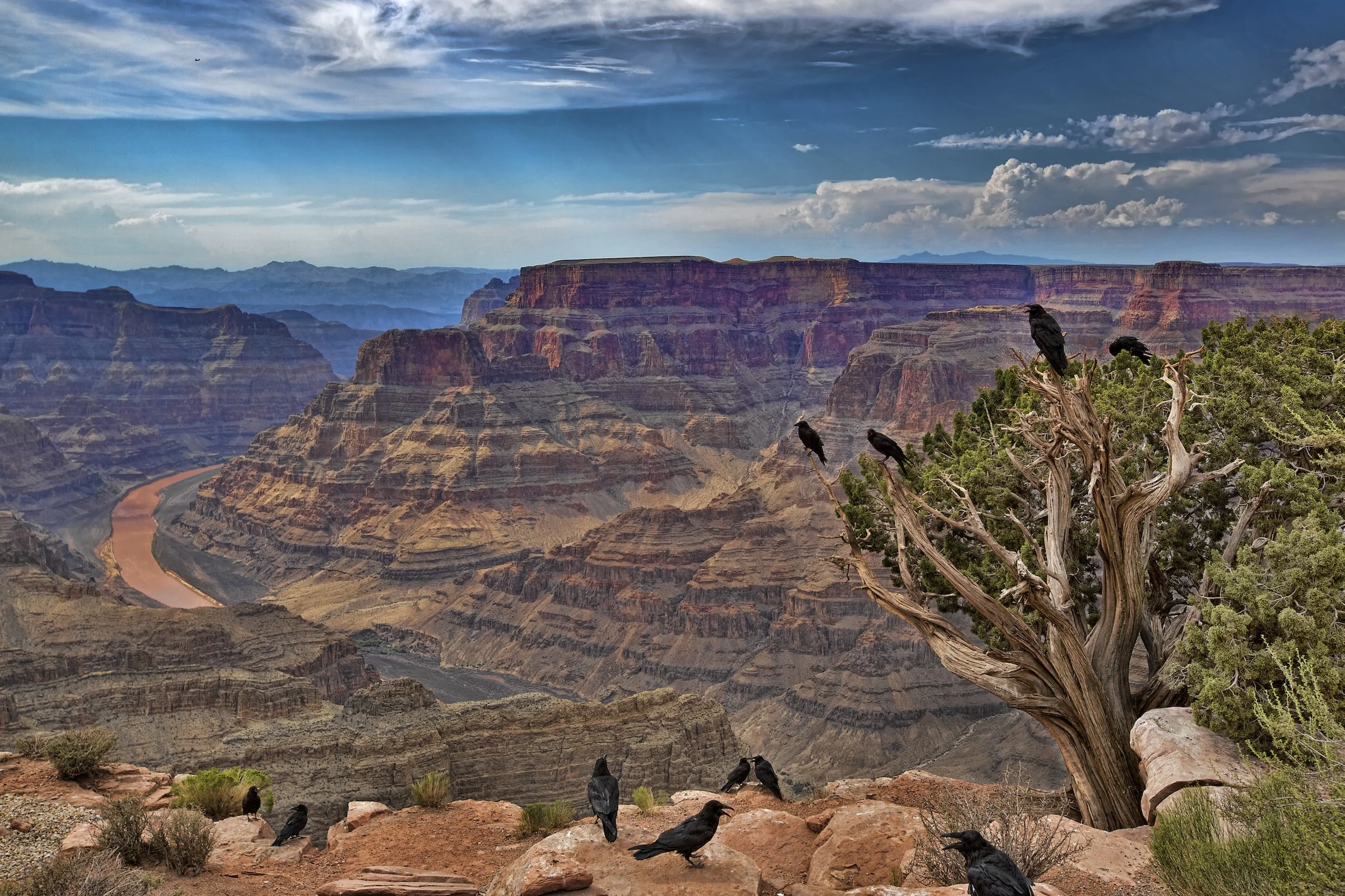 _V2A4145 5.jpg