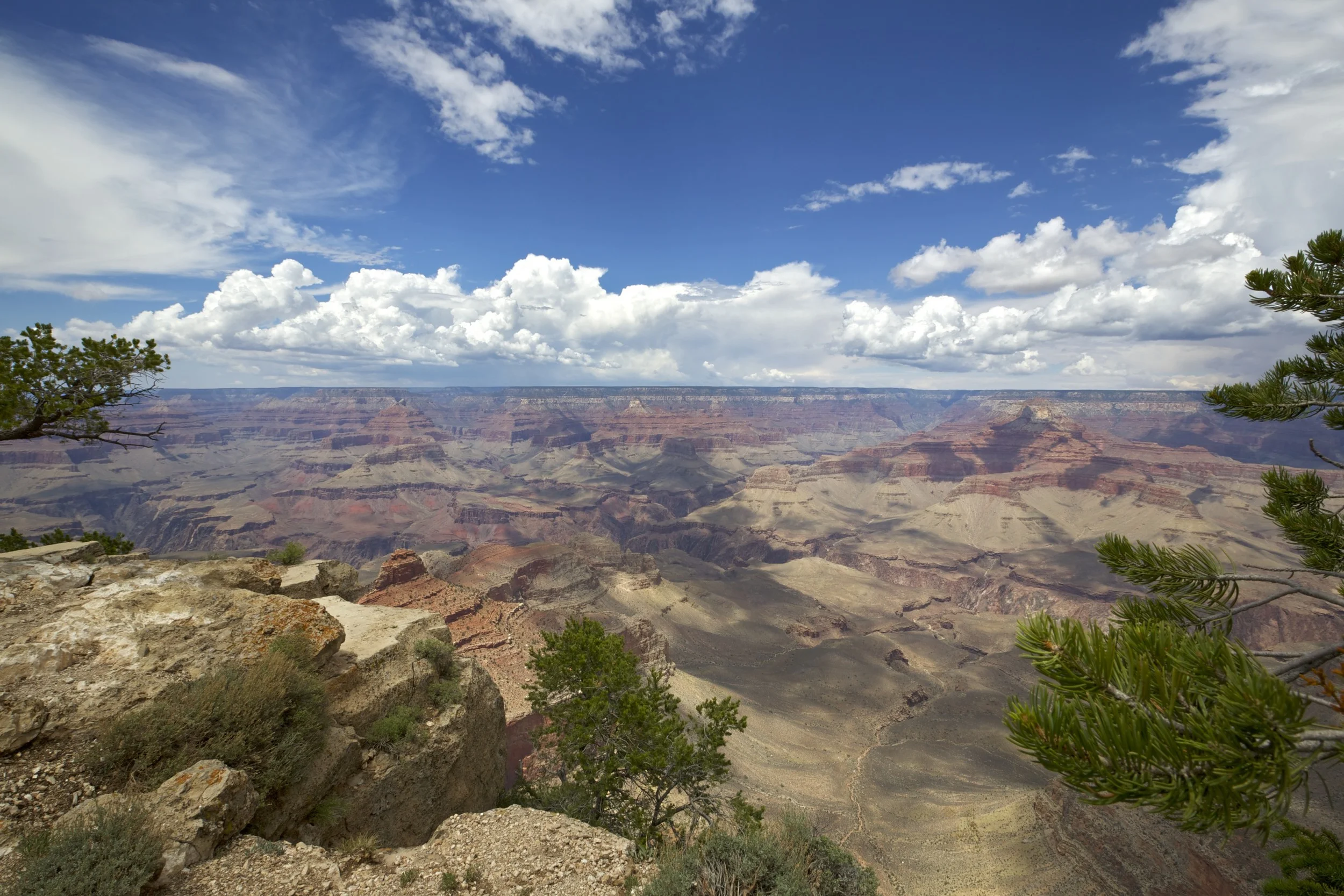 _V2A4705 2.jpg