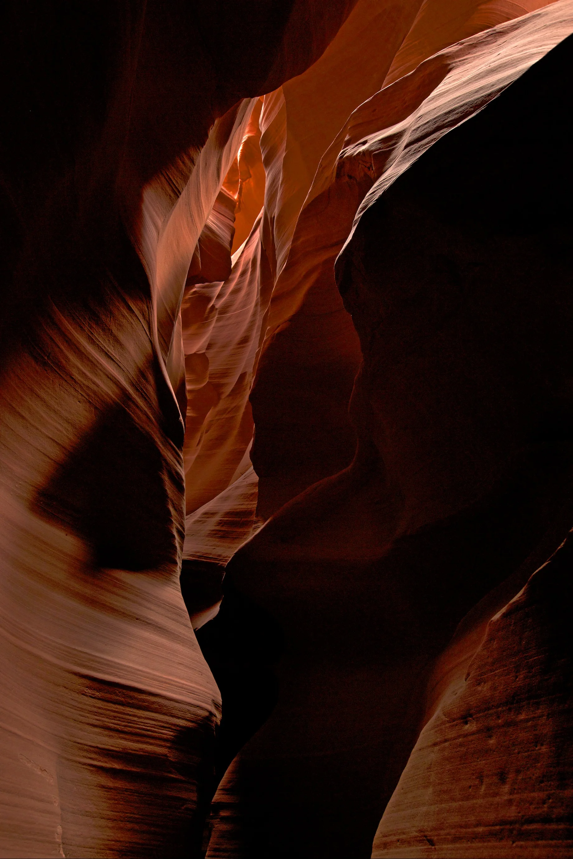 _V2A7637 3.jpg