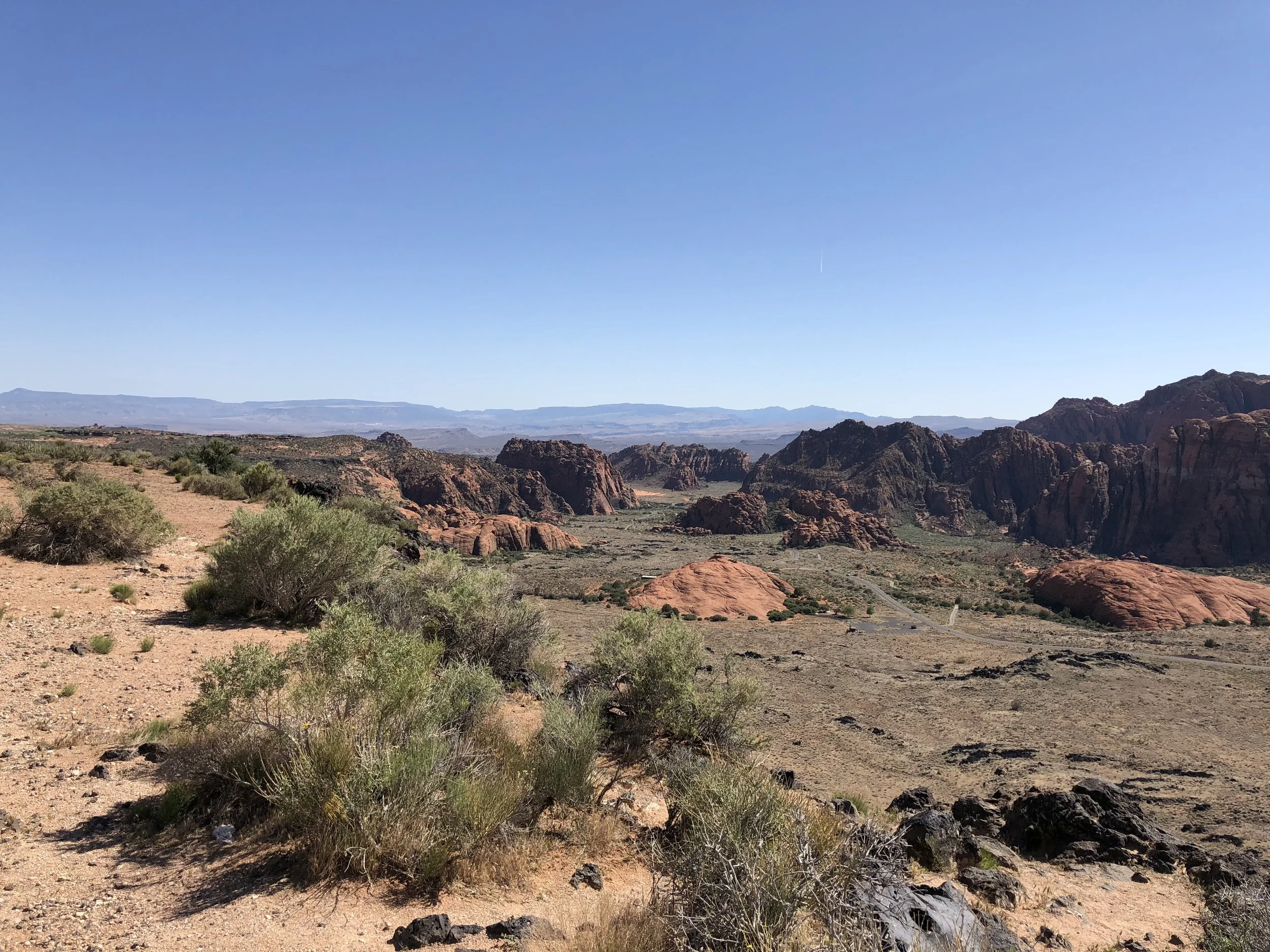 IMG_0677.jpeg