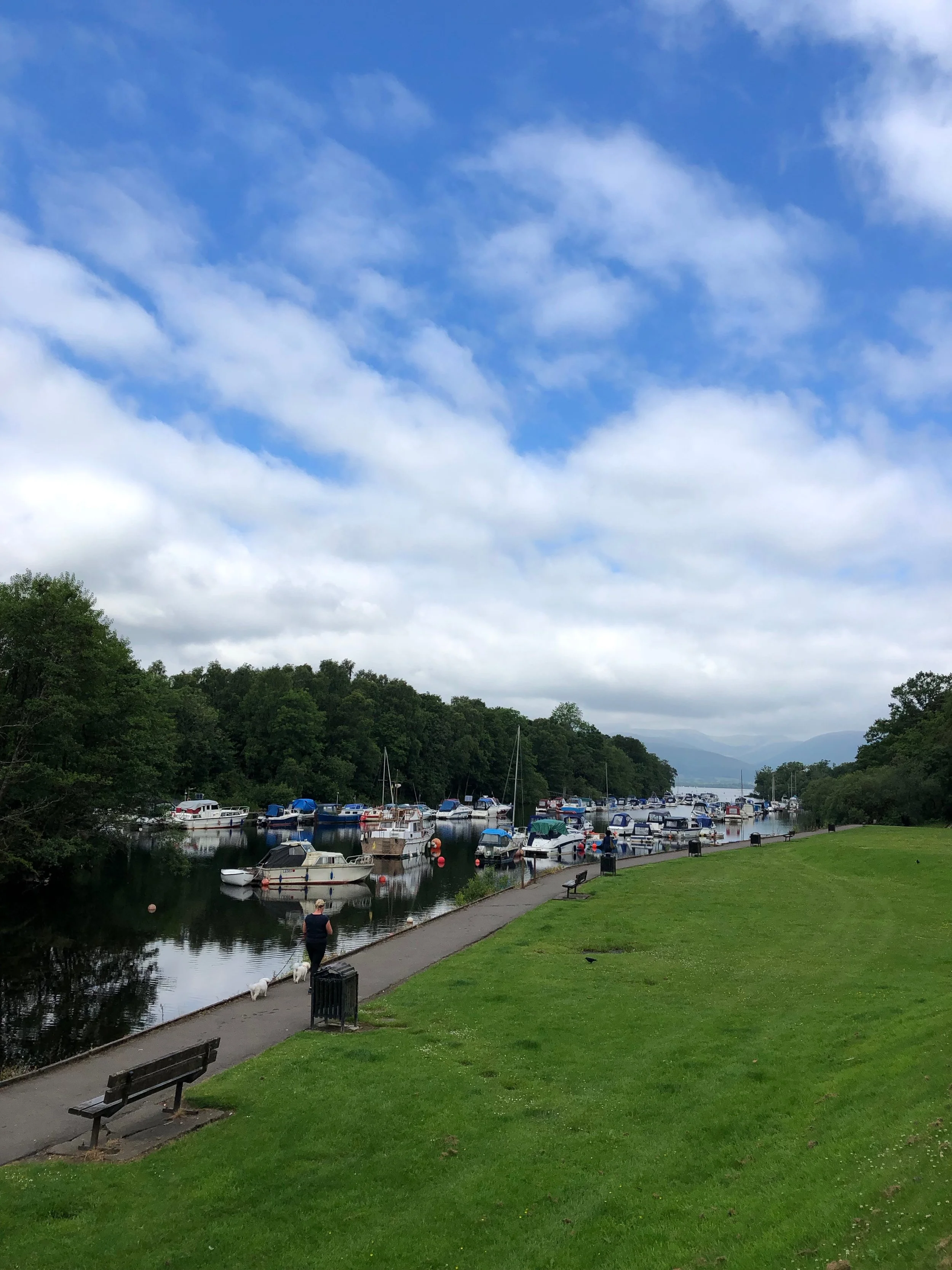 IMG_2536.jpeg