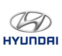 2016 Hyundai National Dealer Meeting
