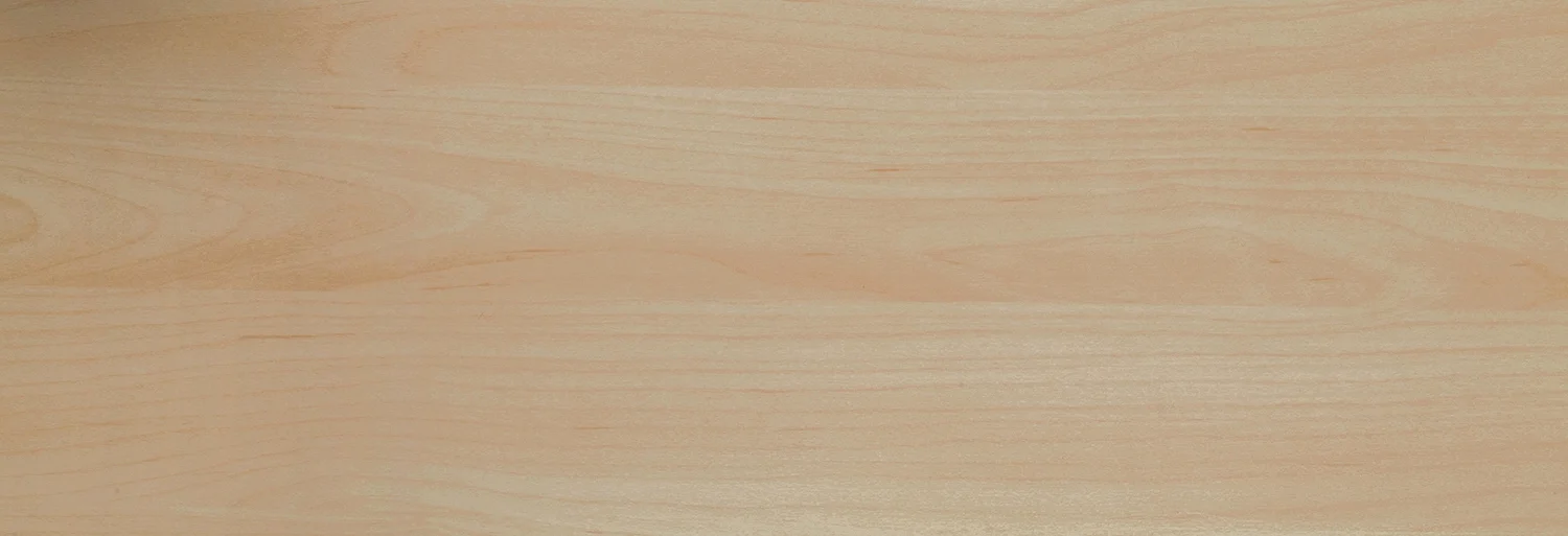 css2web.jpg