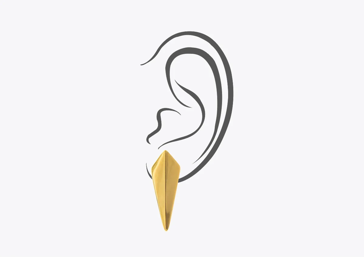 EarISER01GD.jpg
