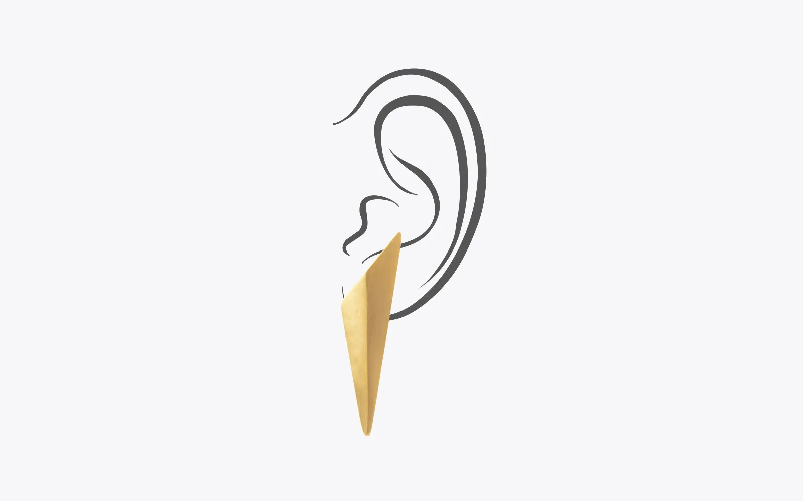 EarISER04BR.jpg