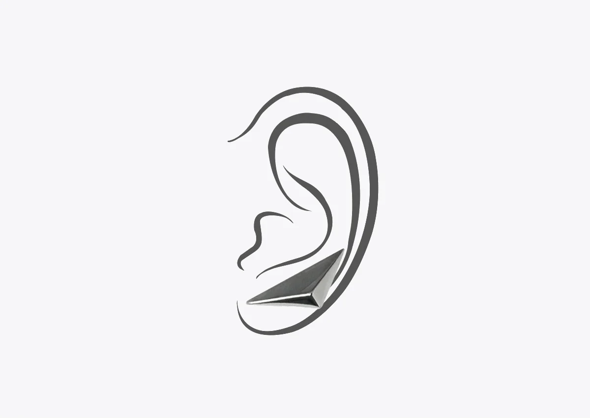EarISER06BR.jpg
