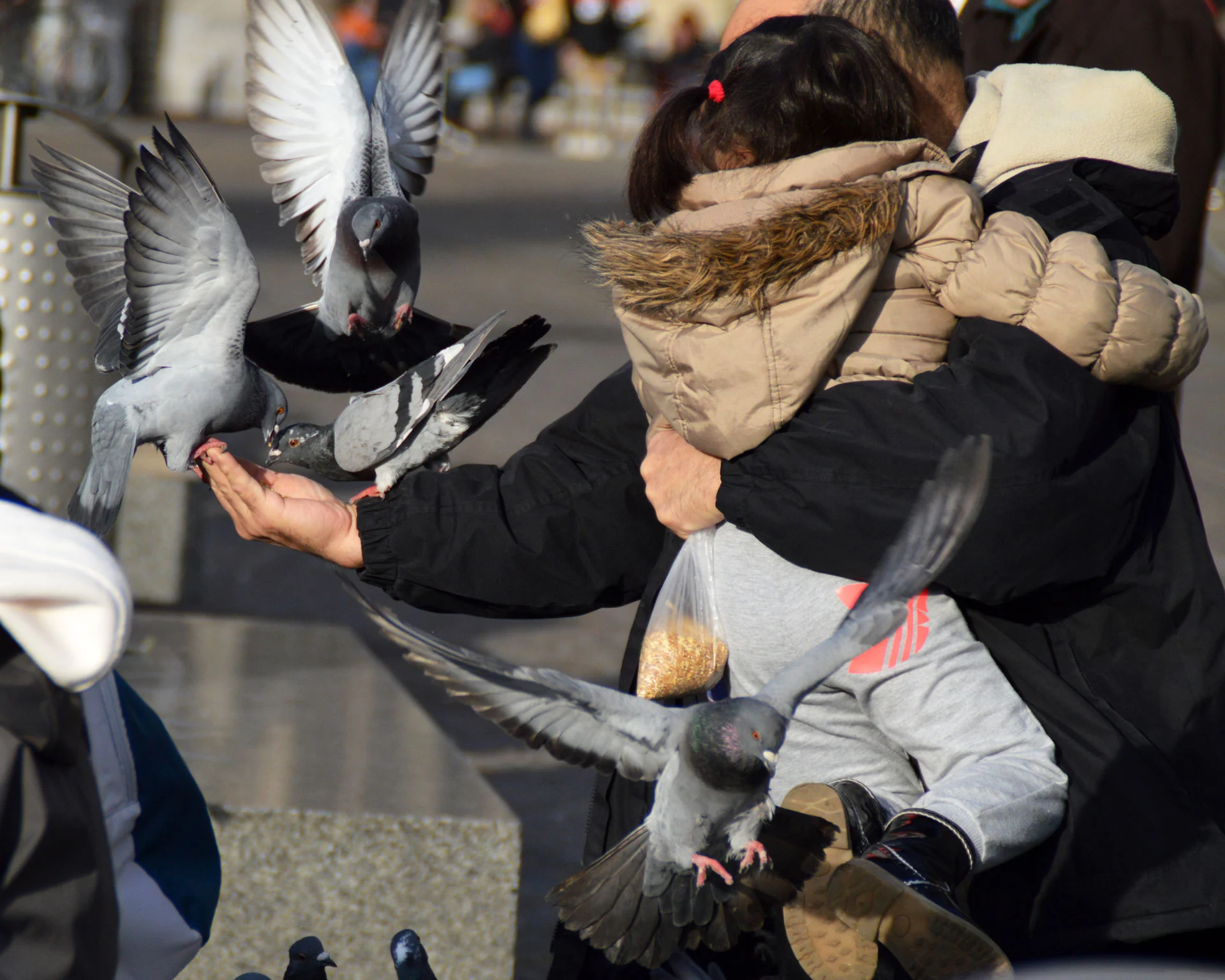 damsquare.jpg