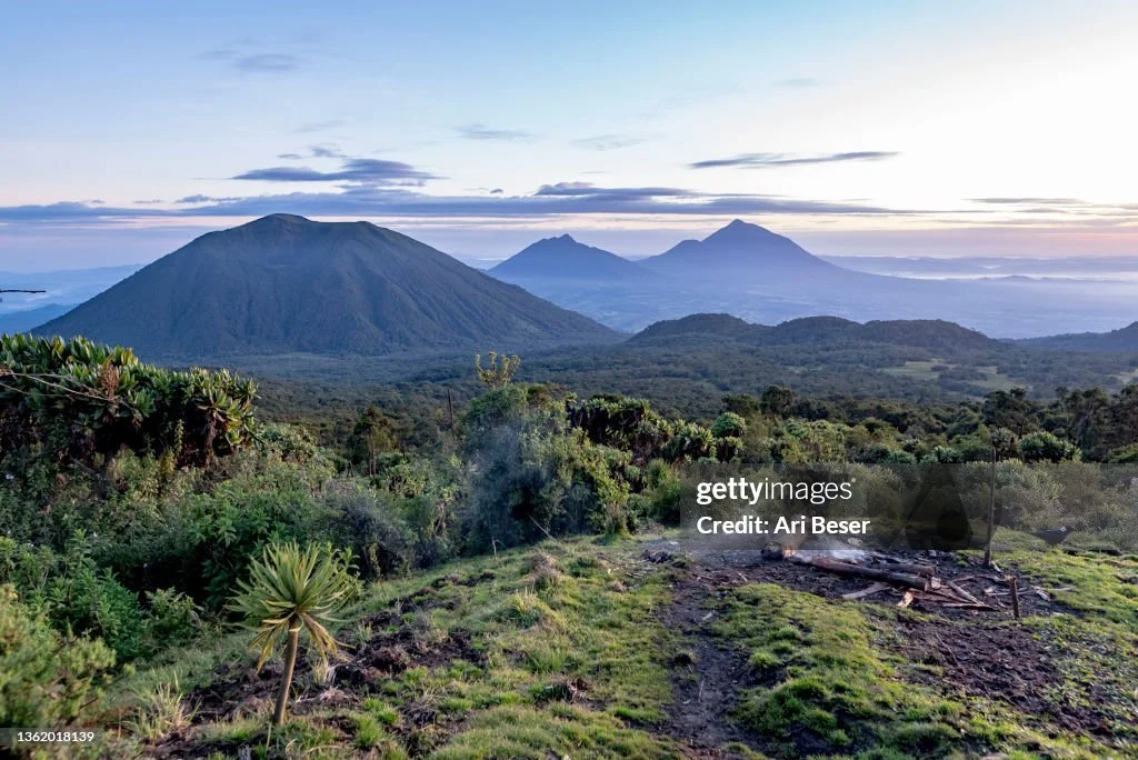 gettyimages-1362018139-1024x1024.jpg