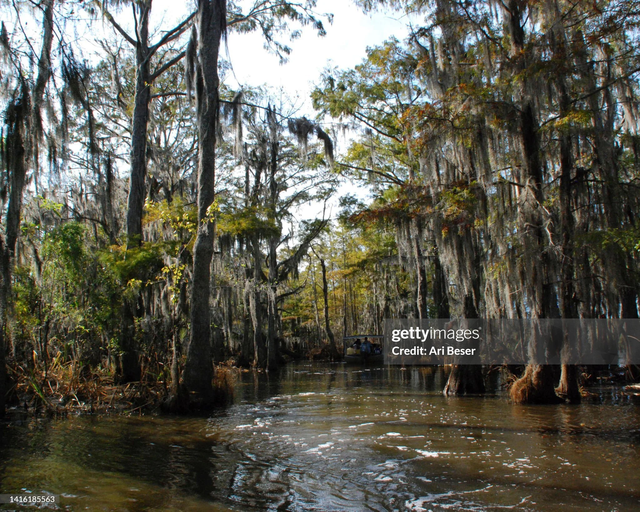 gettyimages-1416185563-2048x2048-2.jpg