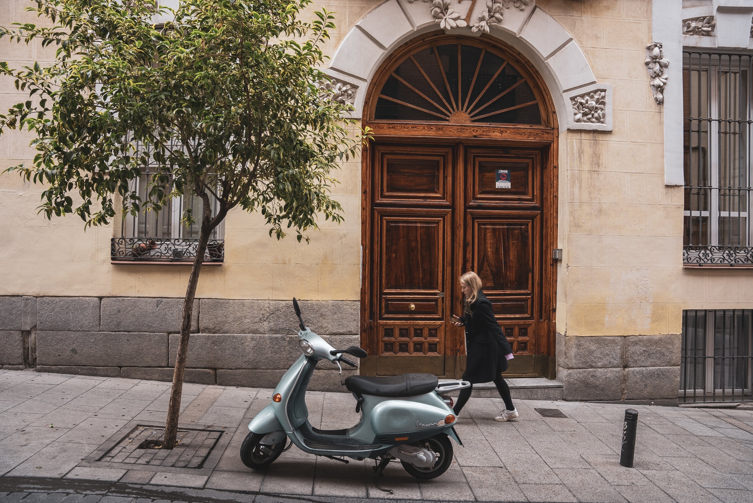 _DSC3101.jpg