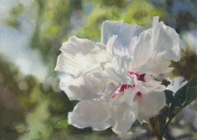 "Summer Afternoon"