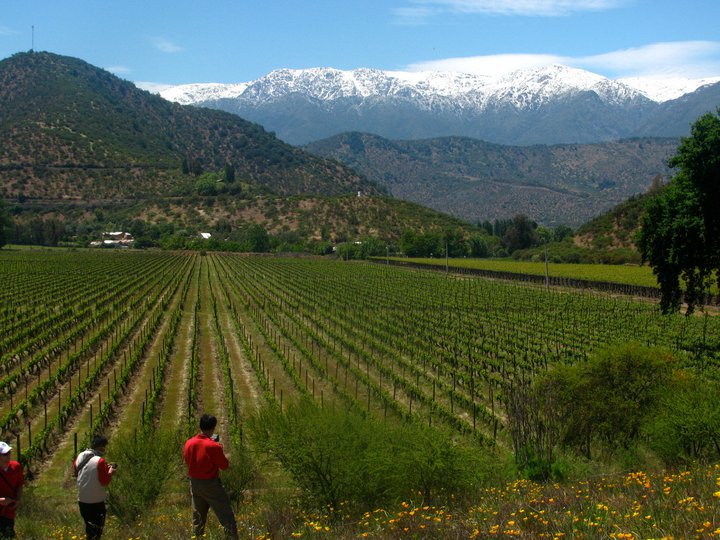 Casona Carrera Boutique Hotel Maipo Wine Valley Santiago Chile vineyard visits, tours and tastings in Maipo Alto at the base of the Andes