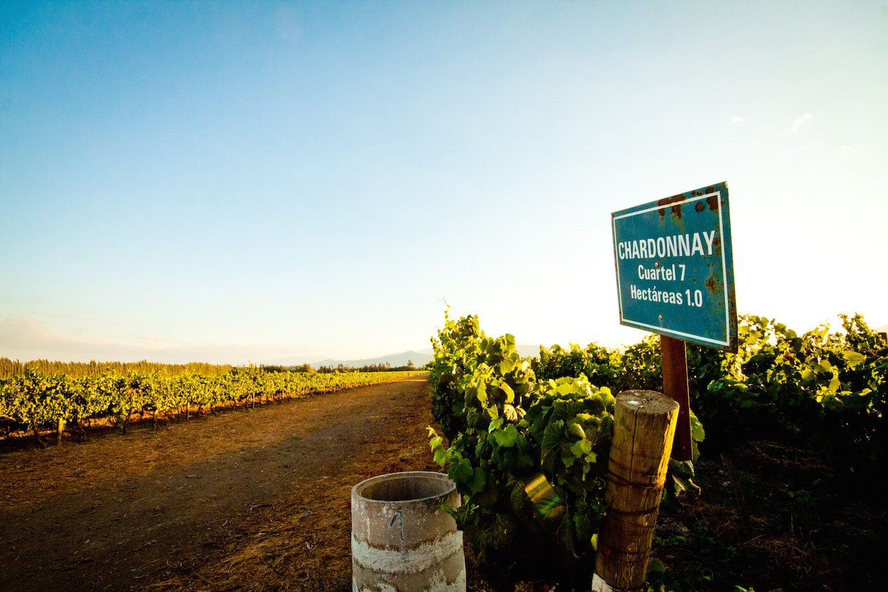 Casona Carrera Boutique Hotel Maipo Wine Valley Santiago Chile vineyard visits, tours and tastings