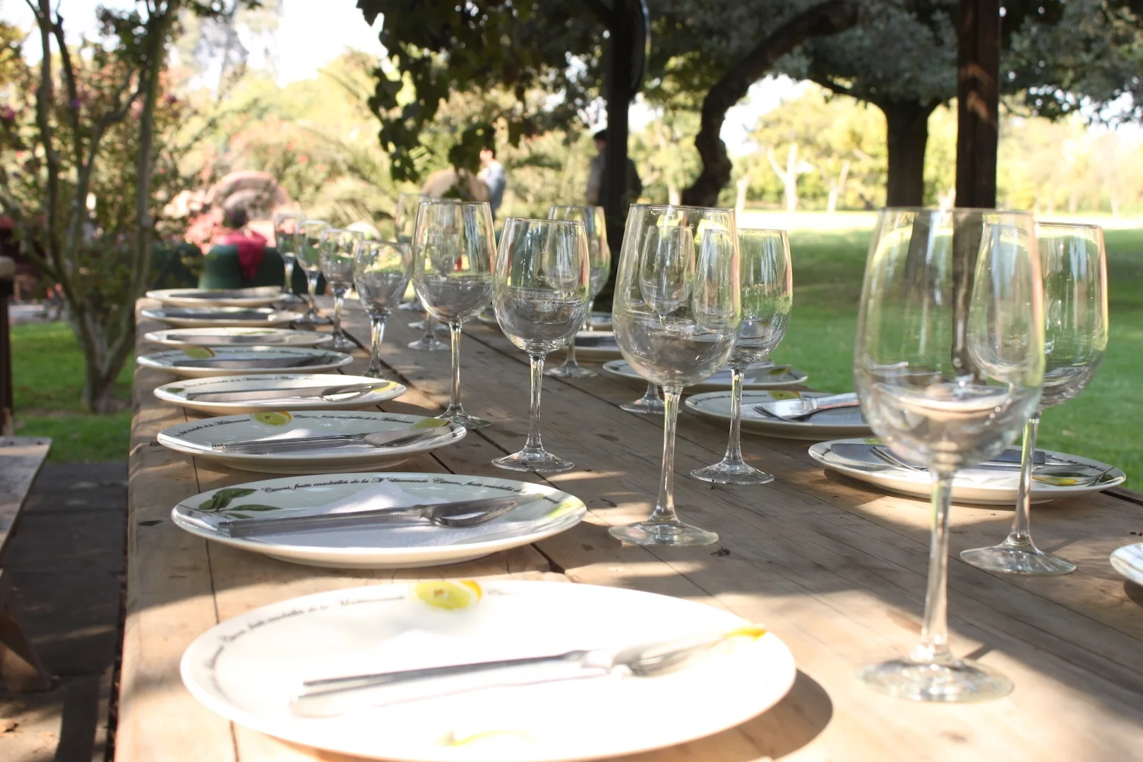 homepageactivities web.JPG