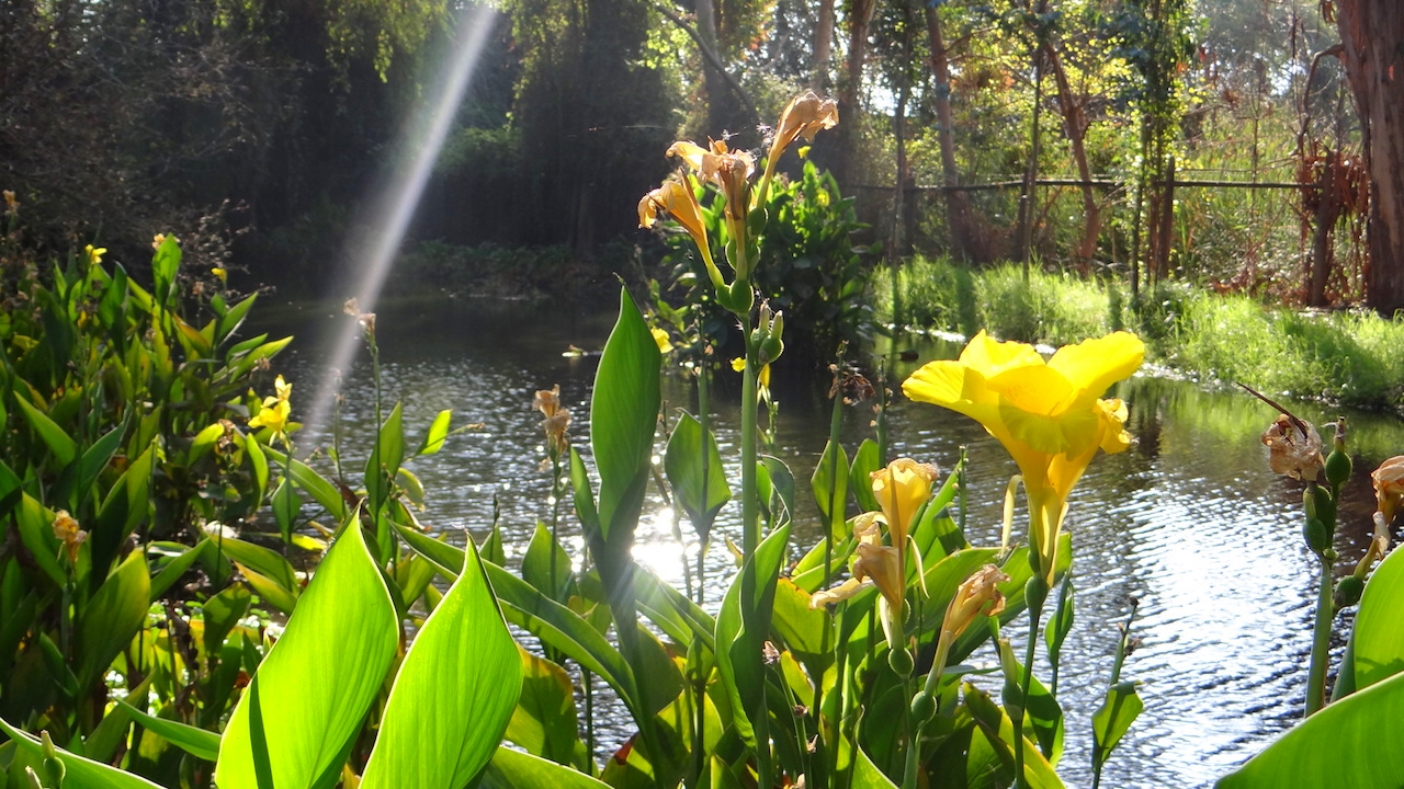 Casona Carrera Boutique Hotel Maipo Wine Valley Santiago Chile gardens and lagoon