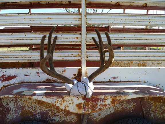 Archery Dave Hamel.JPG