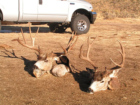 Hunting 2007 075.jpg