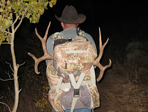 Michelleti 3 Gary.JPG