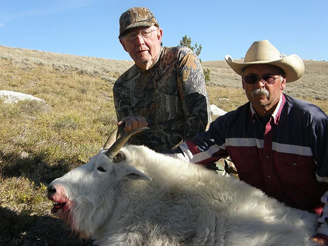 Smith goat 2.jpg