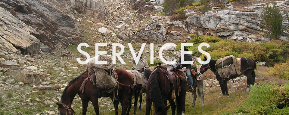 Services.jpg