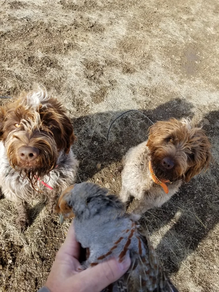 Resized_20181218_113751.jpeg