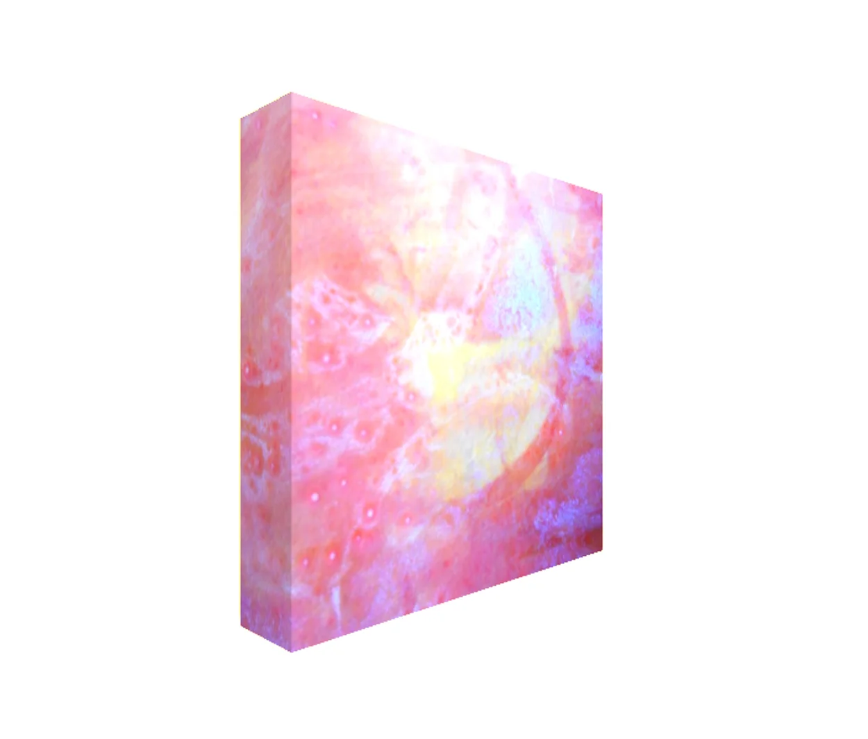 5. v2 Square Abstract Canvas Print Maggie Minor Designs.jpg