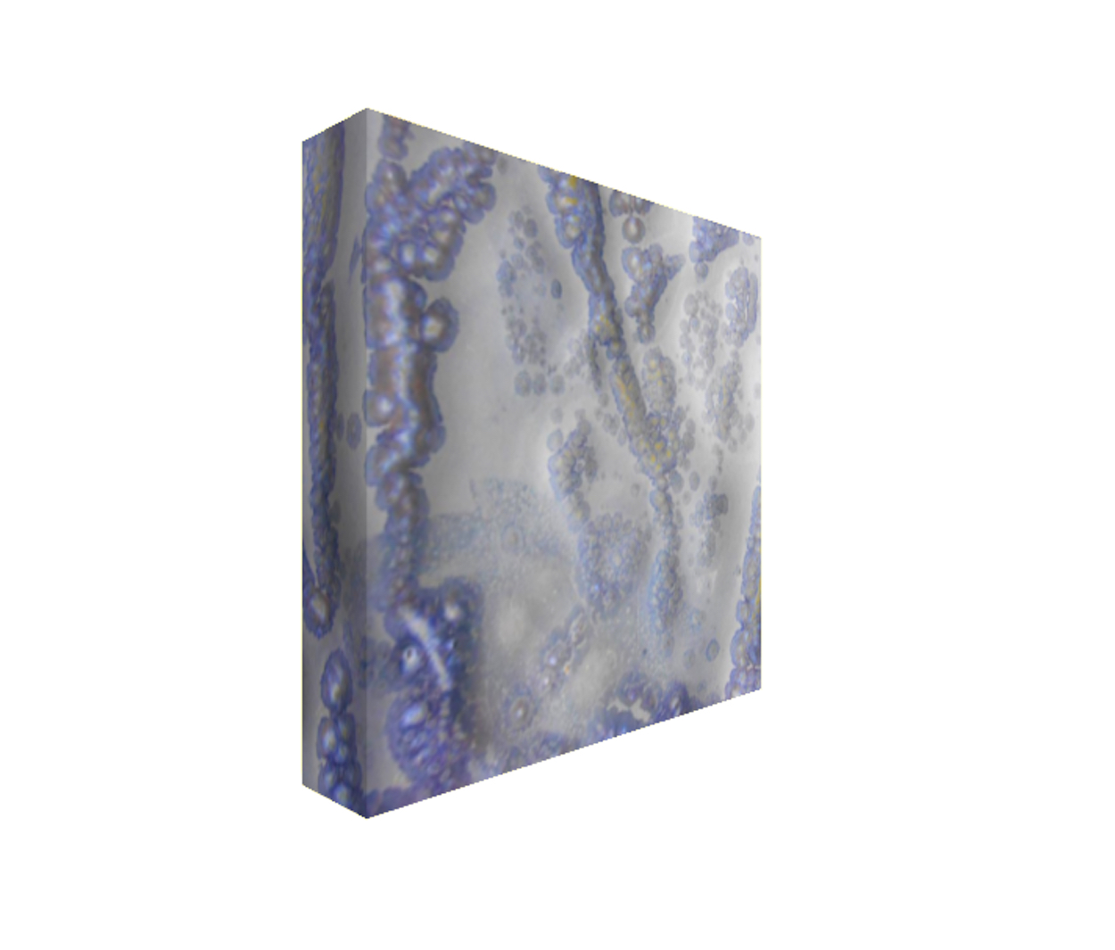 10. v1 Square Abstract Canvas Print Maggie Minor Designs.jpg