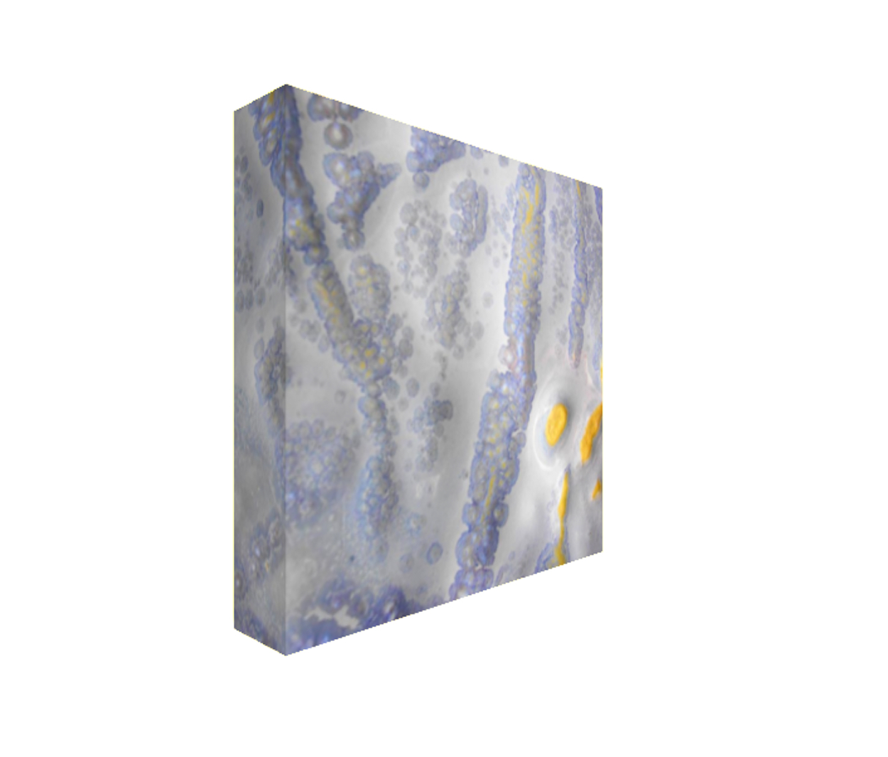 10. v2 Square Abstract Canvas Print Maggie Minor Designs.jpg