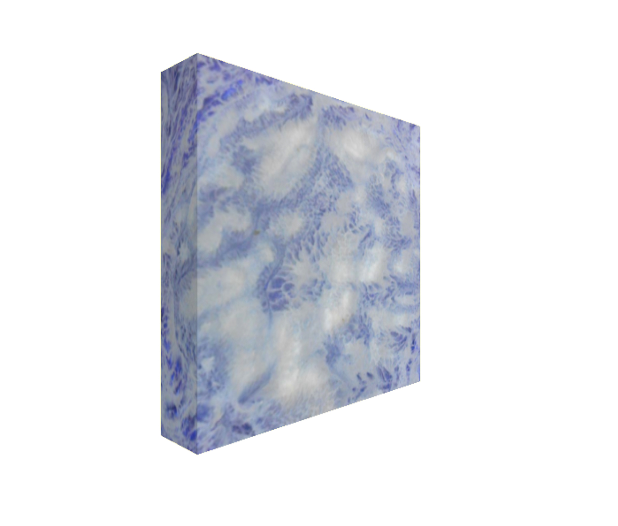 14. v1 Square Abstract Canvas Print Maggie Minor Designs.jpg