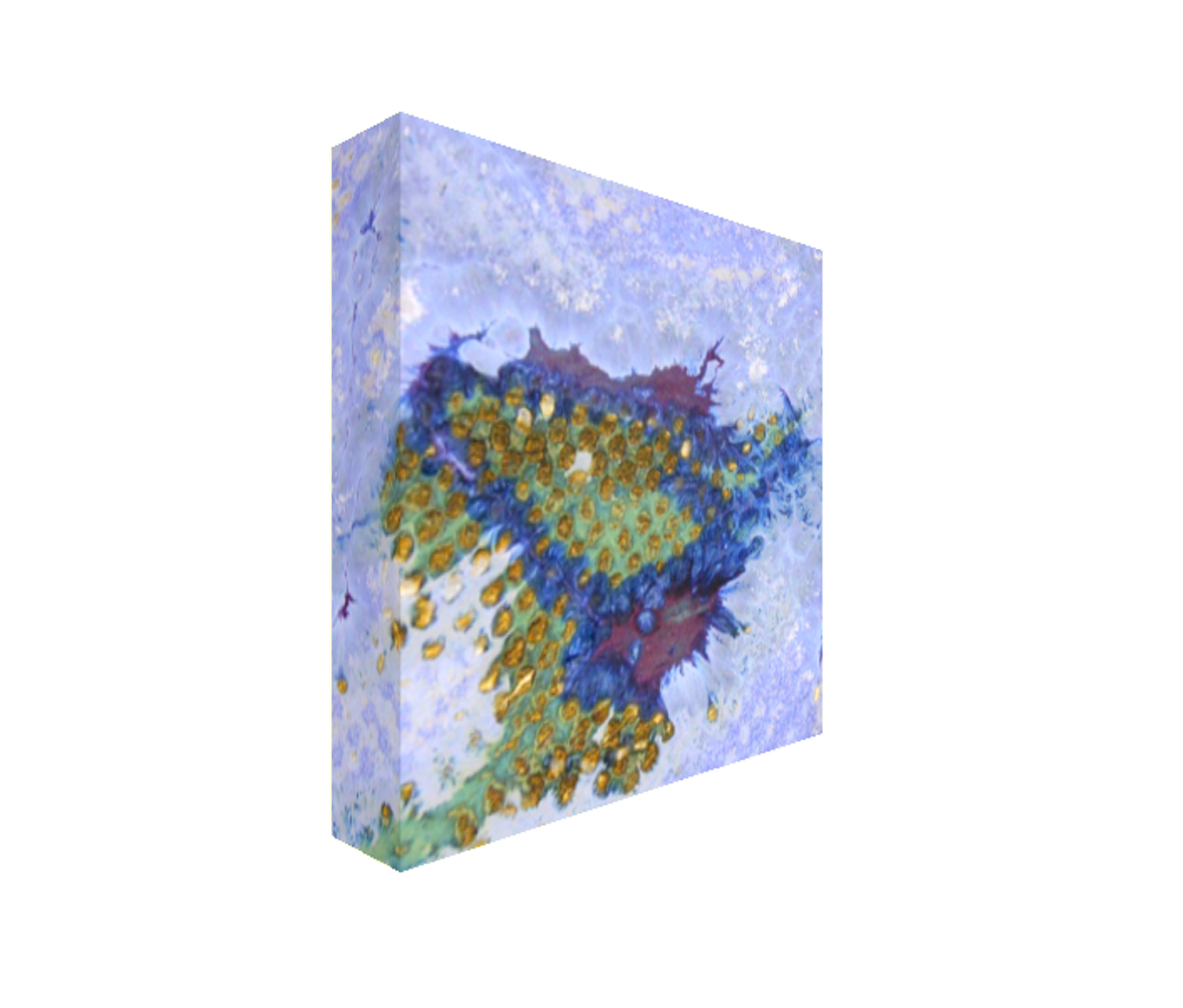 27. Square Abstract Canvas Print Maggie Minor Designs.jpg
