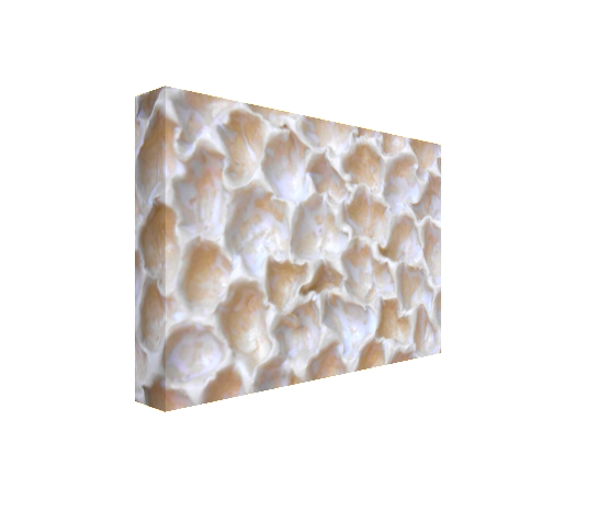 #1 Beige Coral Abstract Canvas Print Maggie Minor Designs.png