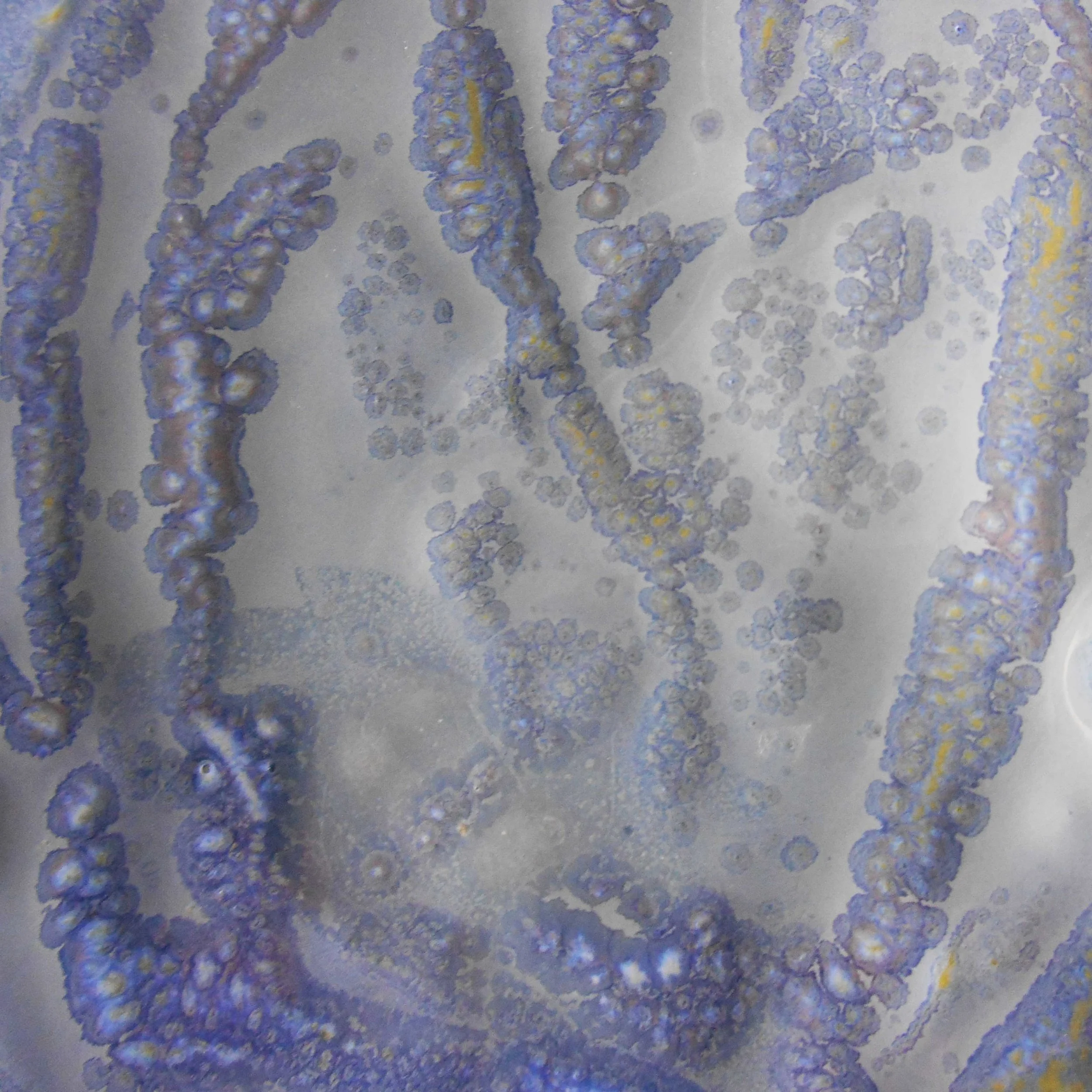 10. Sq v1 speckled Blue and yellow abstract canvas artwork Maggie Minor Designs.jpg