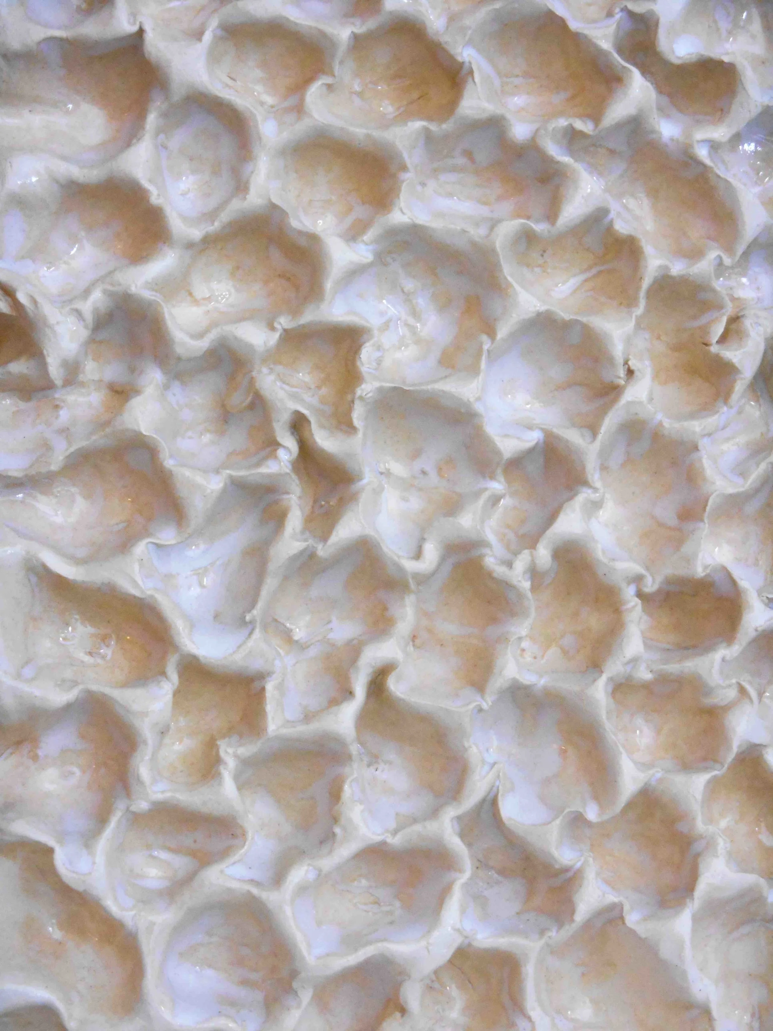 1. Beige Coral Texture Canvas Wrap Giclee Maggie Minor Designs copy.jpg
