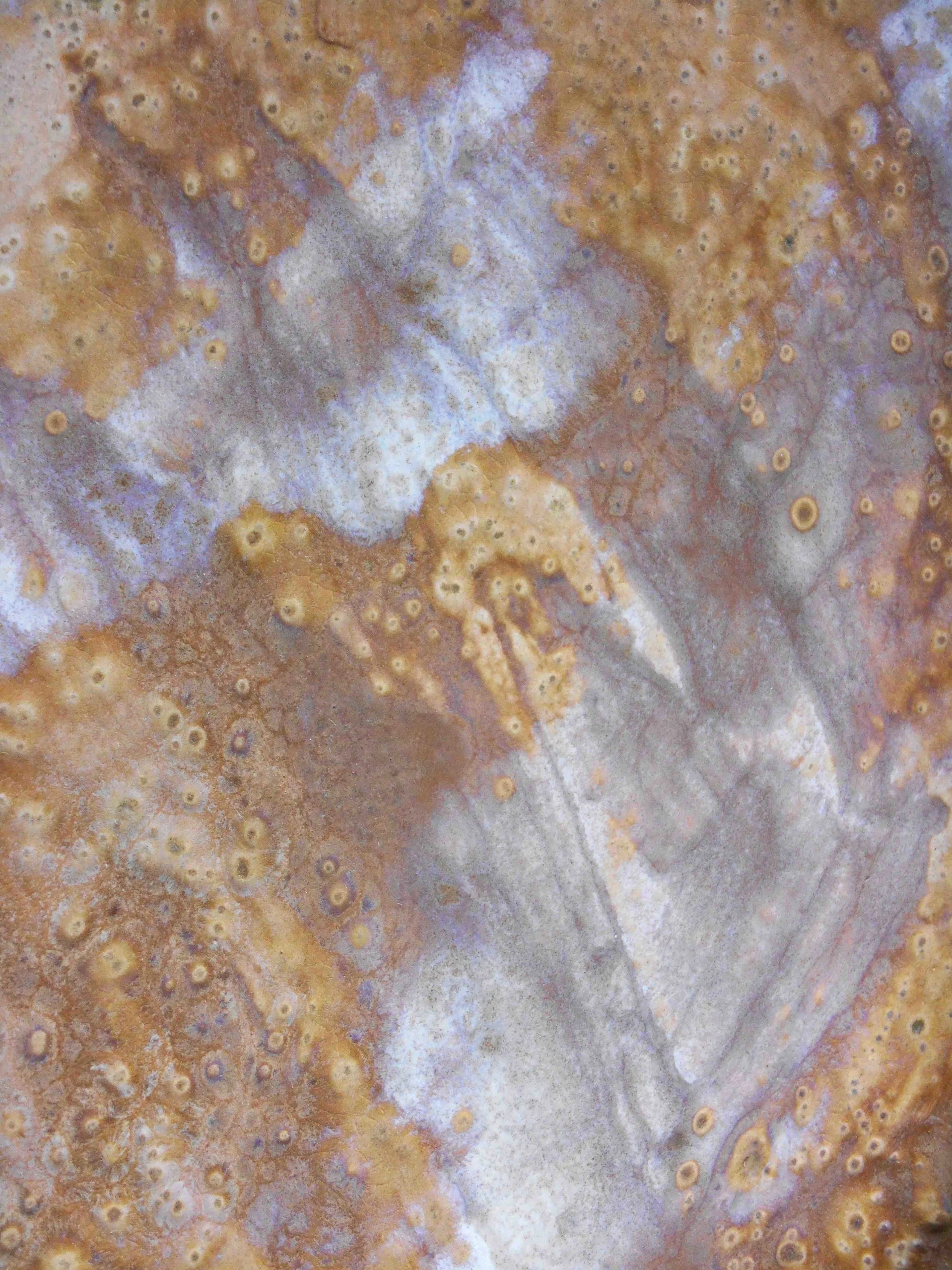 15. Brown White Bubble Canvas Wrap Giclee Maggie Minor Designs copy.jpg