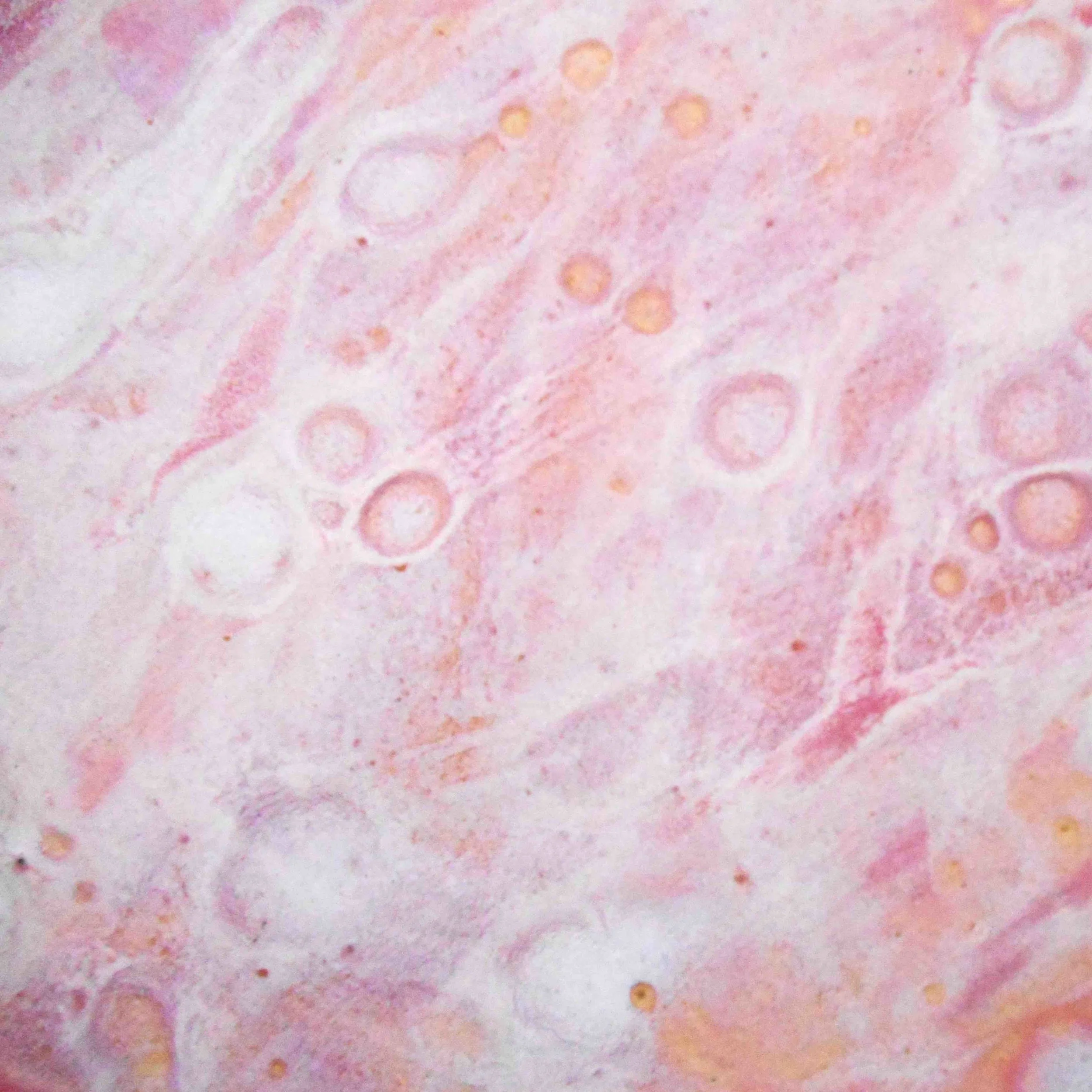 6. Square v1 Pink Bubble Canvas Wrap Giclee Maggie Minor Designs copy copy.jpg