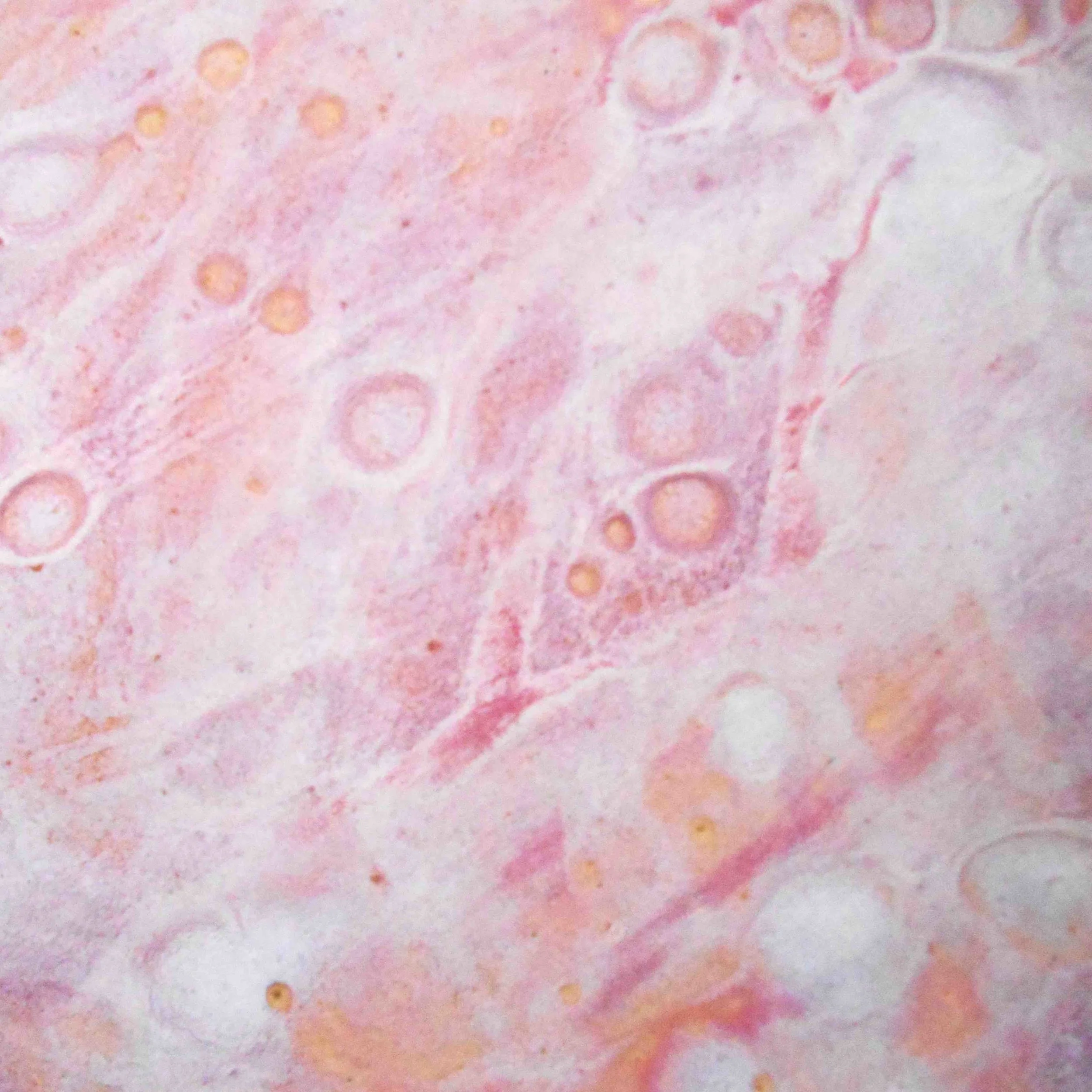 6. Square v2 Pink Bubble Canvas Wrap Giclee Maggie Minor Designs copy copy.jpg