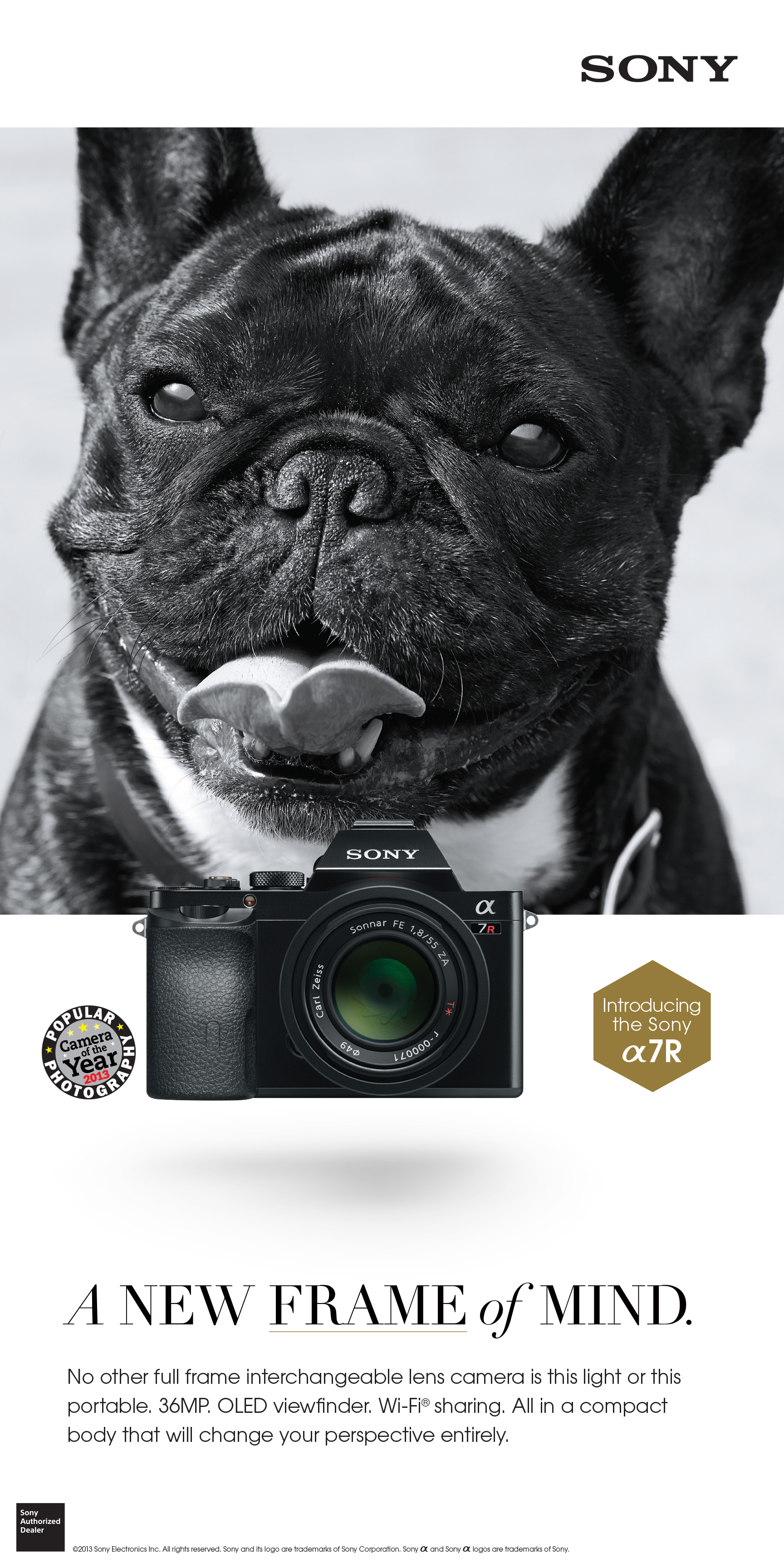 Sony a7 Launch Ad_1.jpg