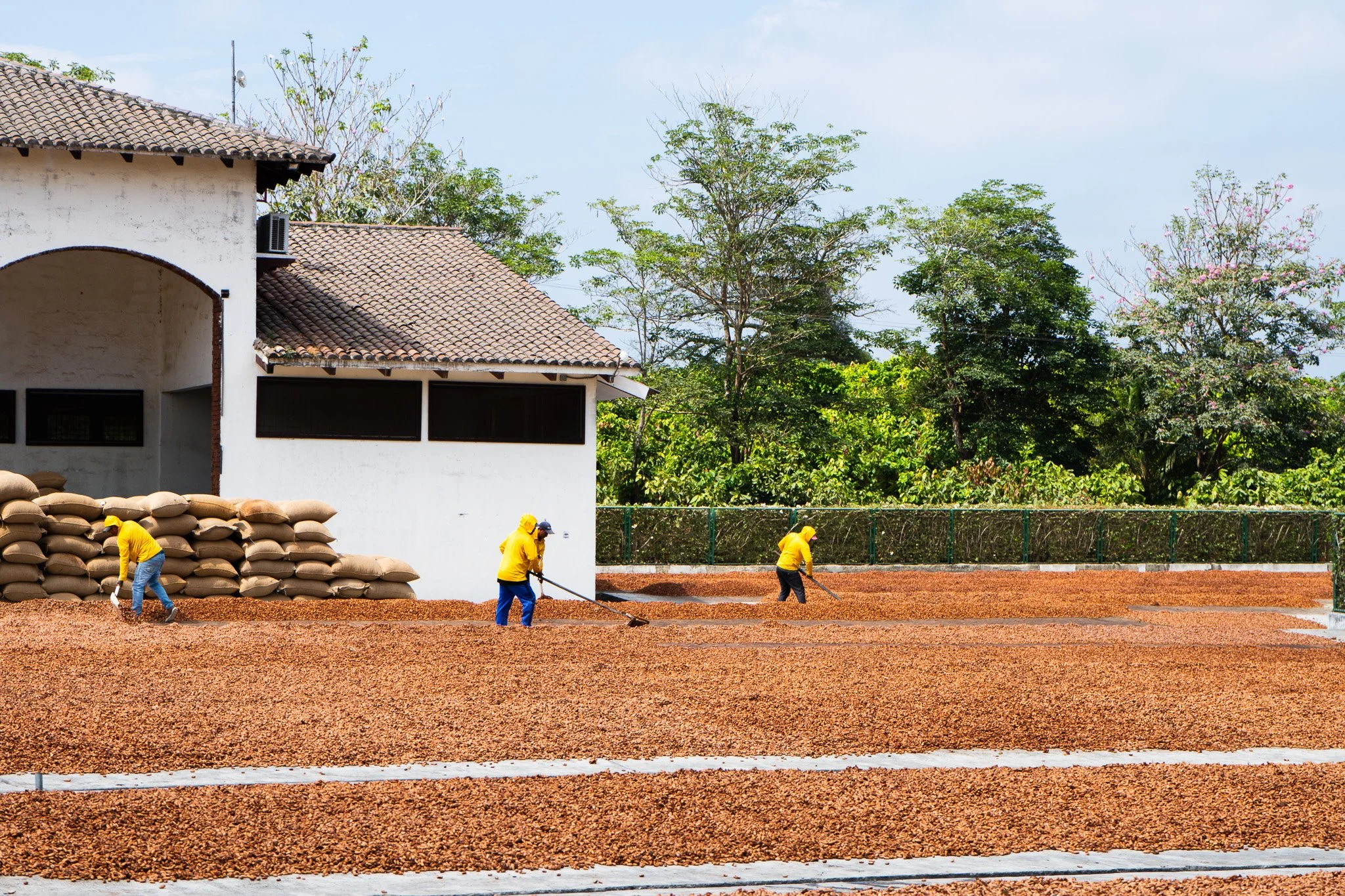 Why Villakuyaya Chooses Hacienda Victoria