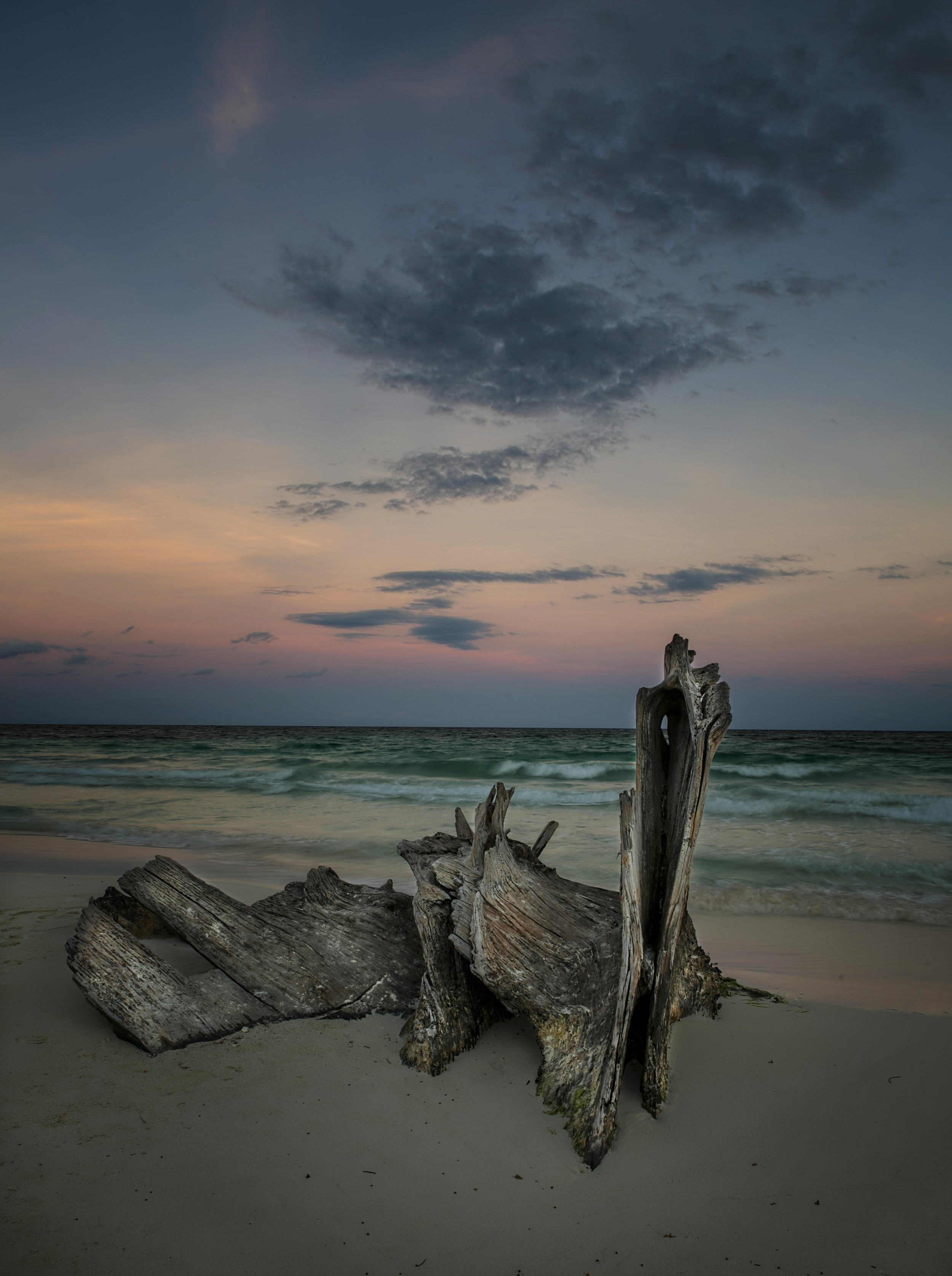 The most interesting driftwood ever....