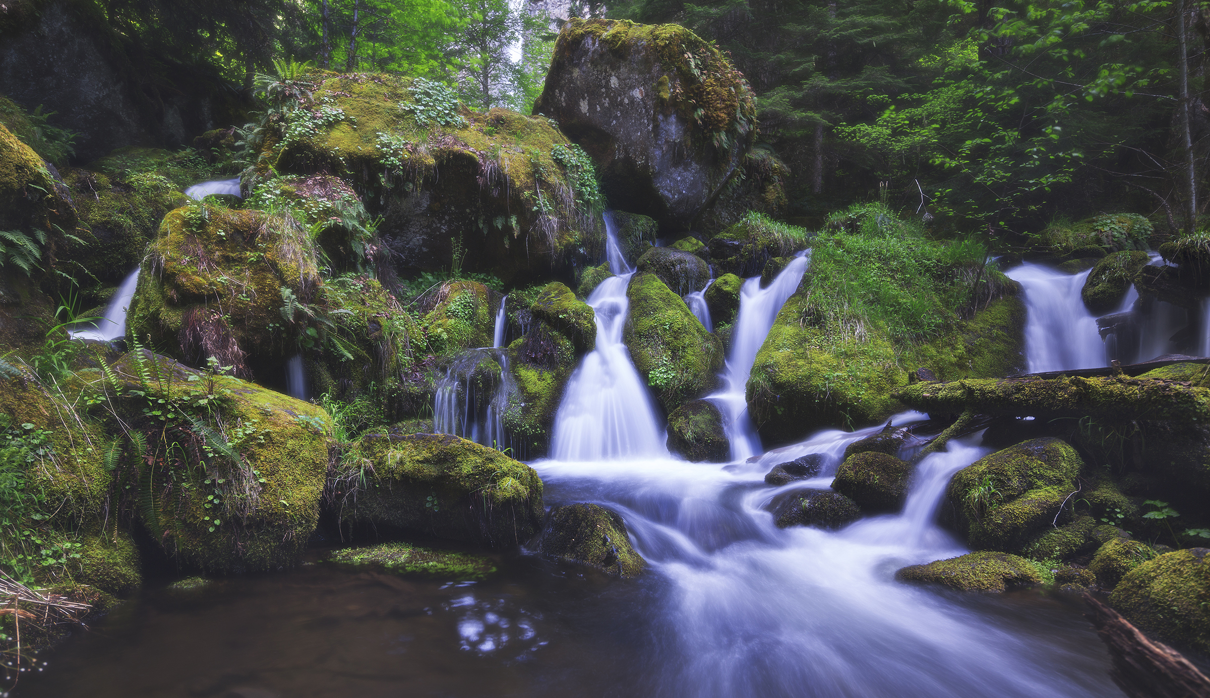 Lower half of Watson Falls