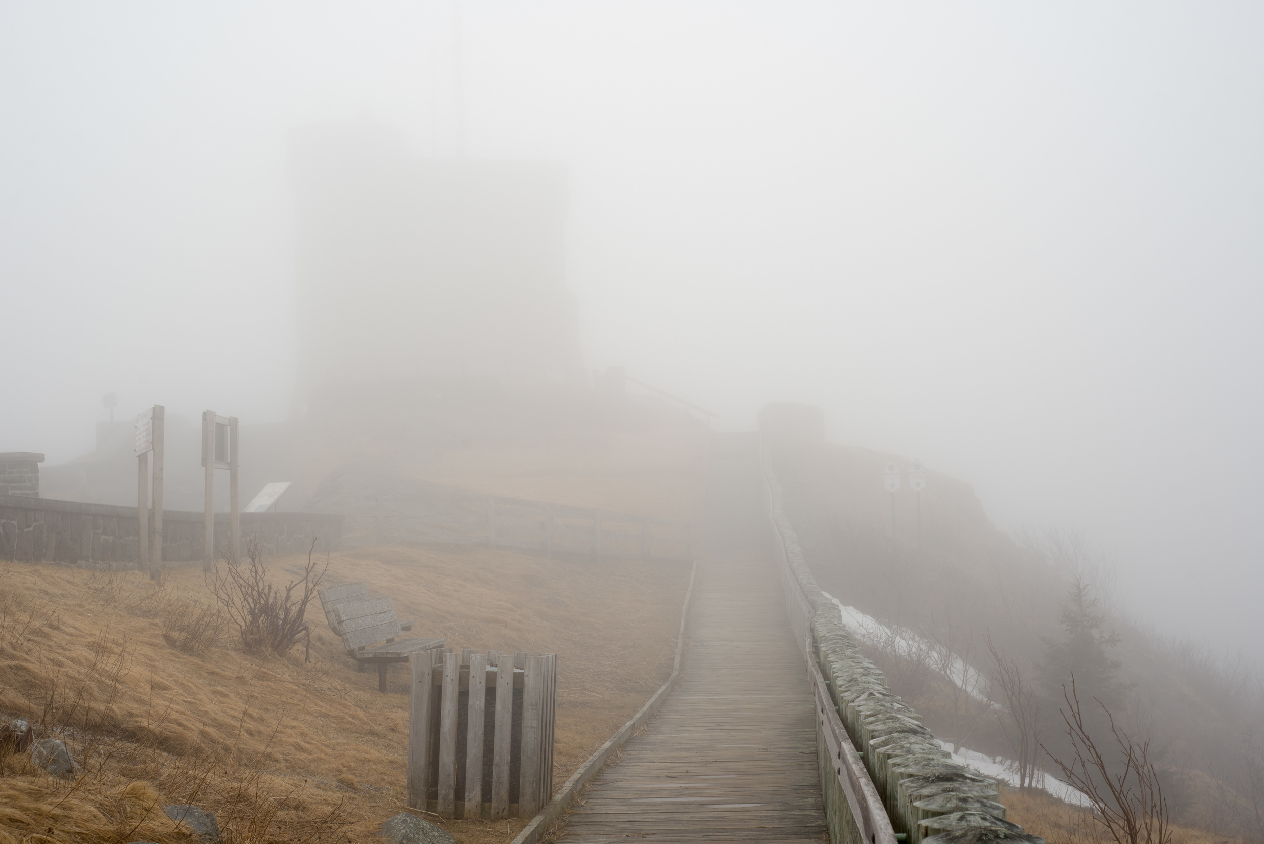 It was very foggy, Cabot Tower was barely an apparition from the board walk just a few dozen metres away.