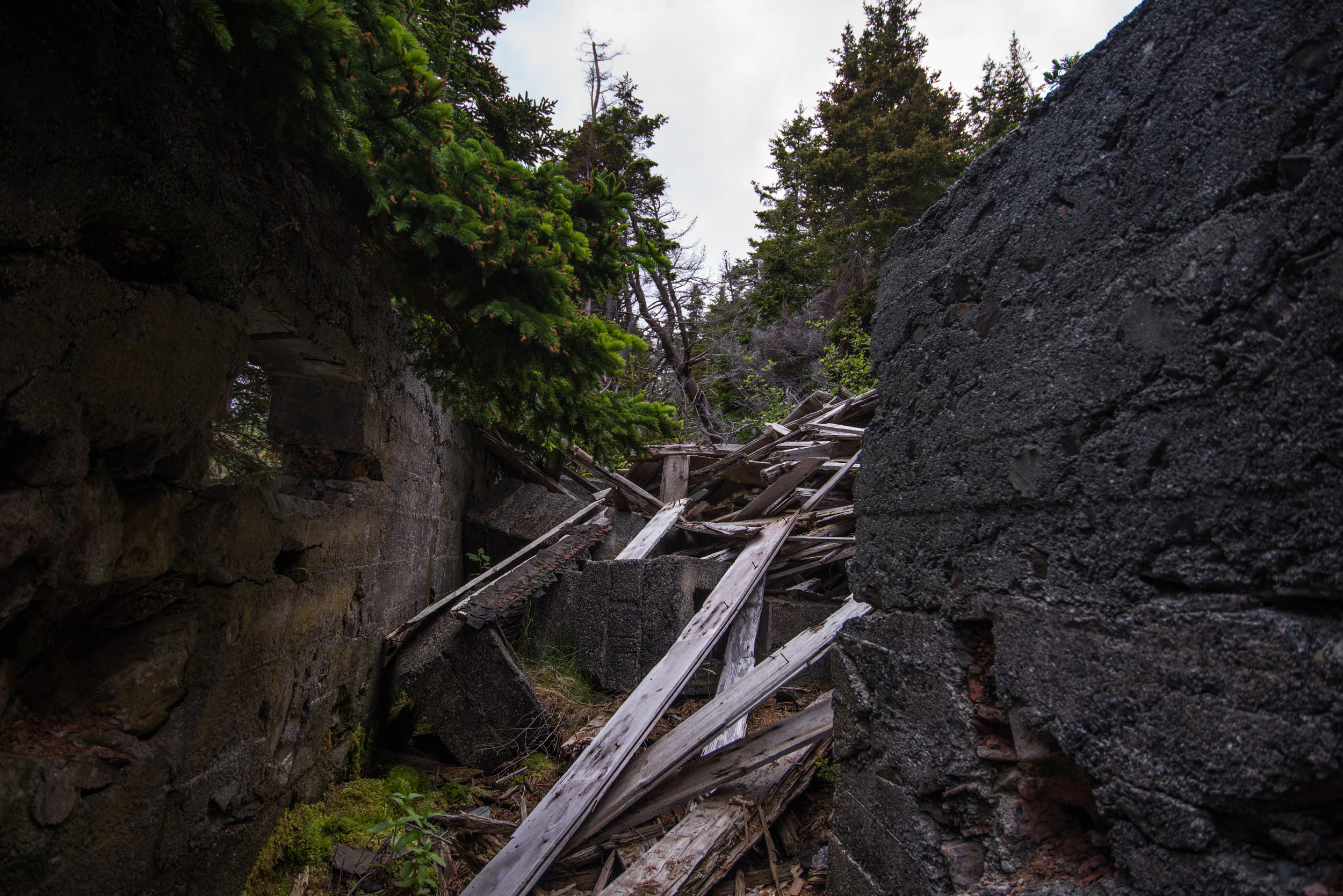 La Manche was abandoned in the late 60s after a brutal winter storm. The homes went to ruin, as they remain today.